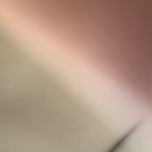 Meet your Posher, Dame